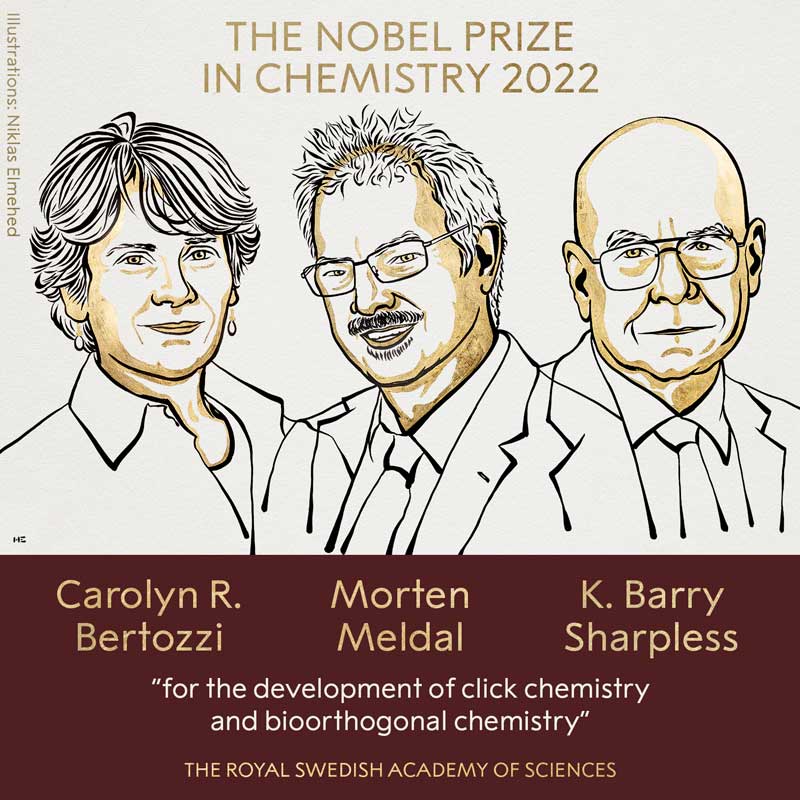 premio nobel química 2022