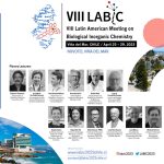 VIII LABIC Chile