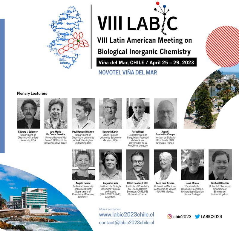 VIII LABIC Chile